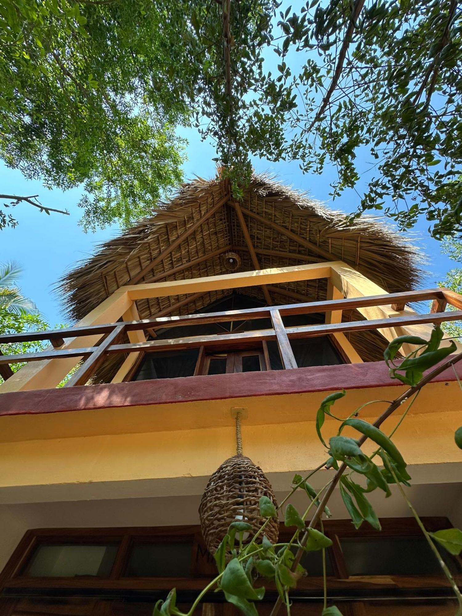 Casa Ava